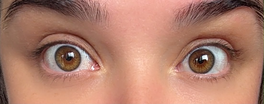 A playful close-up of Lulu’s wide brown eyes.